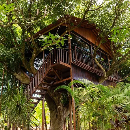 Hotel Heliconias Nature Inn & Hot Springs